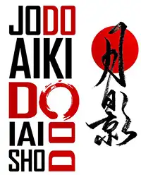 locandina aikido