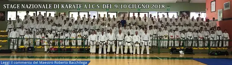 Stage nazionale aics di karate Domegge